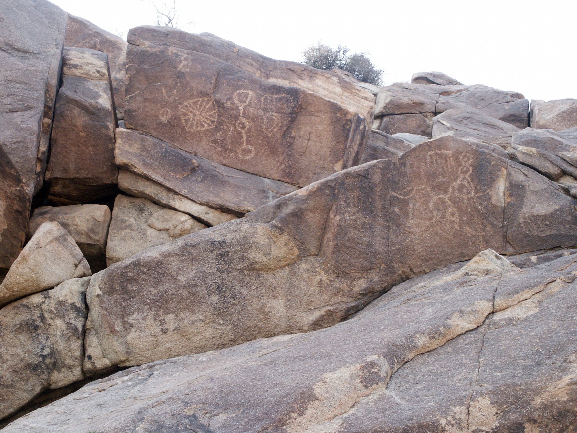 Coyote Hole Canyon Petroglyphs