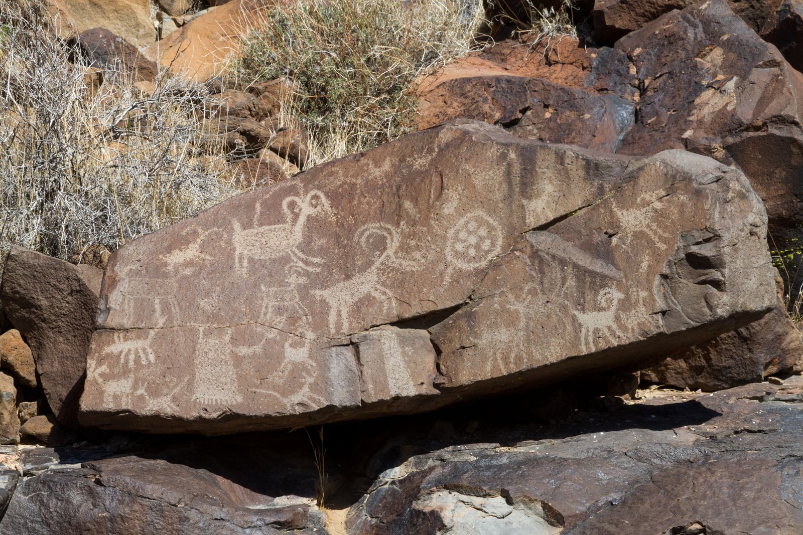 Coso Petroglyphs