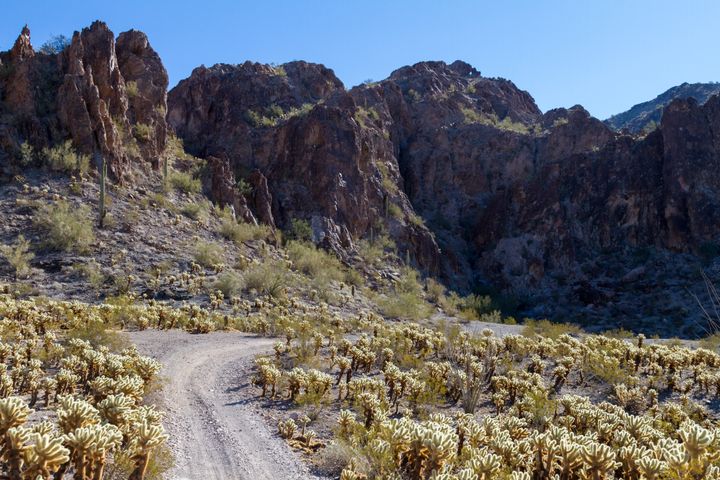 Dripping Springs Petroglyphs