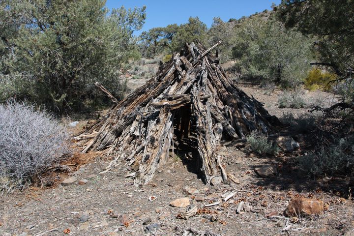 Panamint Wickiup #2