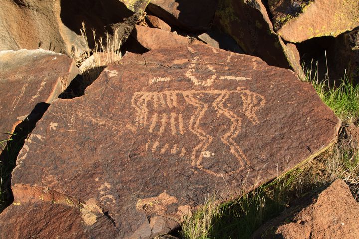 Coyote Gulch Petroglyphs (Mojave)