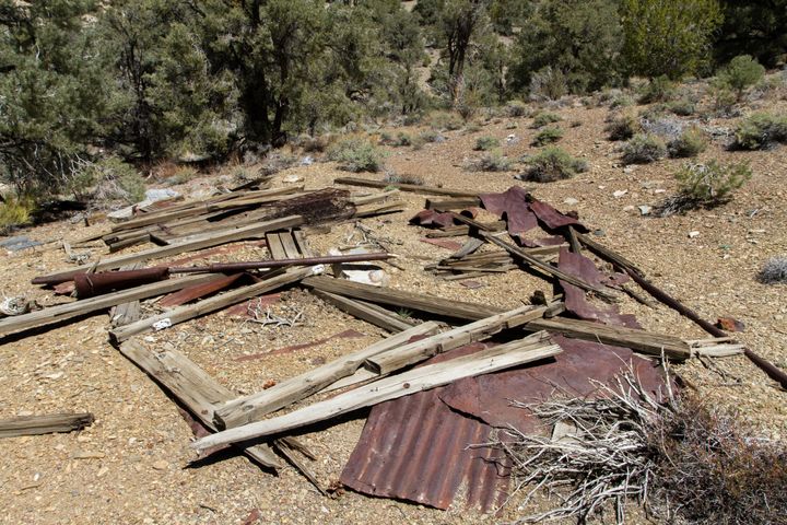 Johnny Shoshone Spring