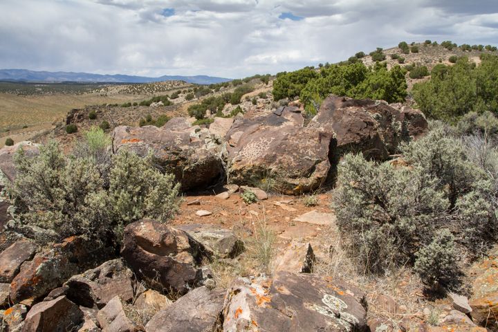 Honeymoon Hill Petroglyphs