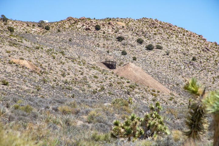 Magnolia Mine (Helene)