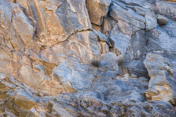 Pachalka Springs Petroglyphs