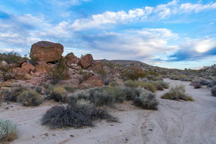 Freightwagon Petroglyphs