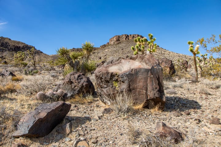 Beacon Hill Petroglyphs