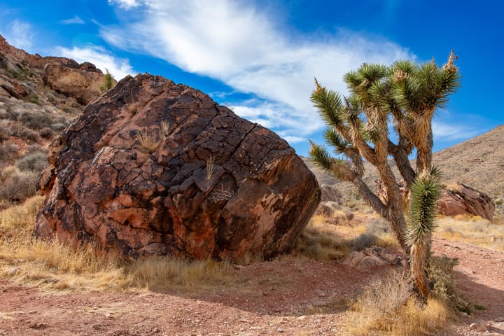 Cottontail Petroglyphs